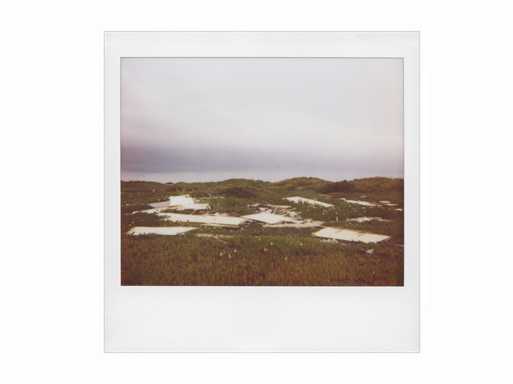 mono polaroid 600